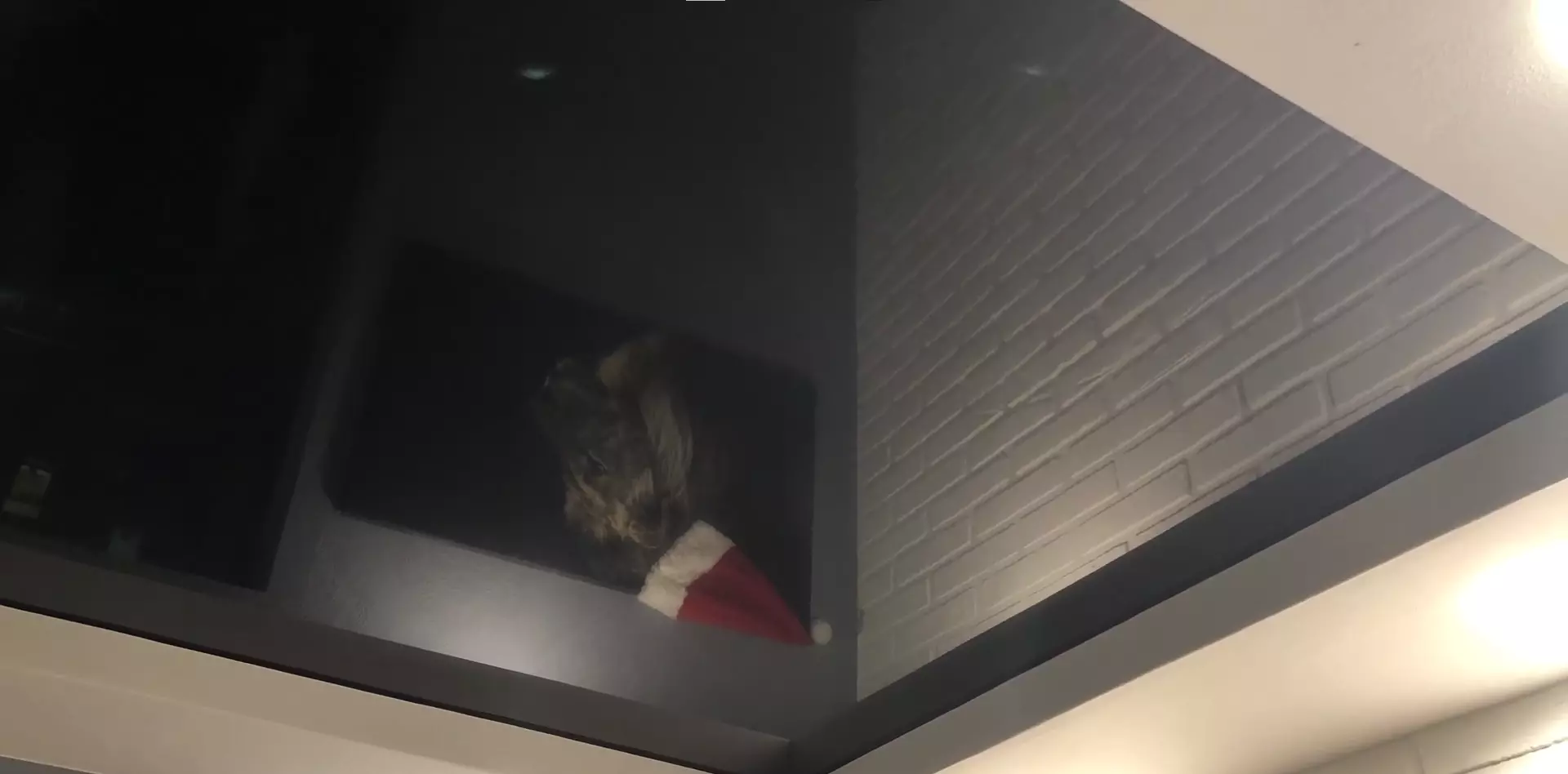 Нижний Новгород, проспект Ильича, 34, фото 3